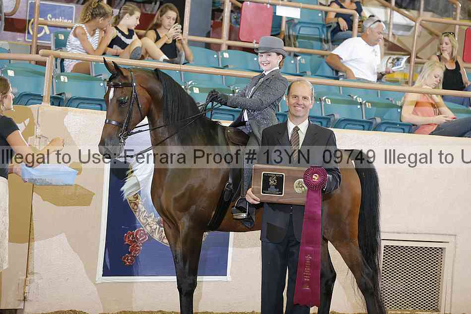 Proof 13yn_09749
