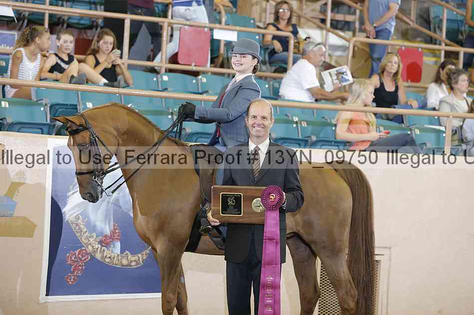Proof 13yn_09750