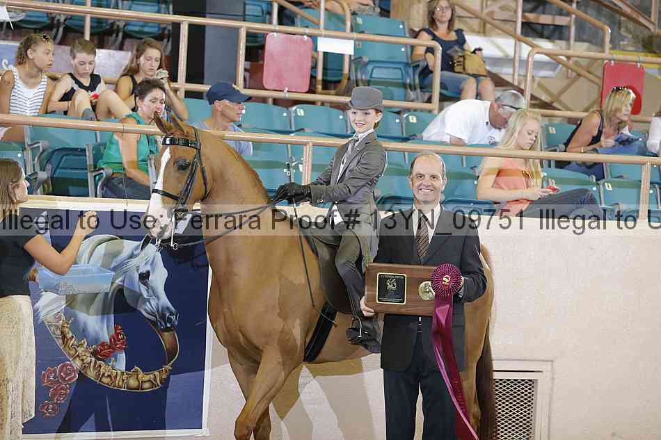 Proof 13yn_09751