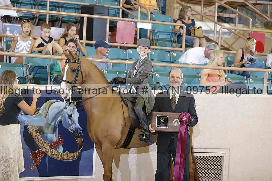Proof 13yn_09752