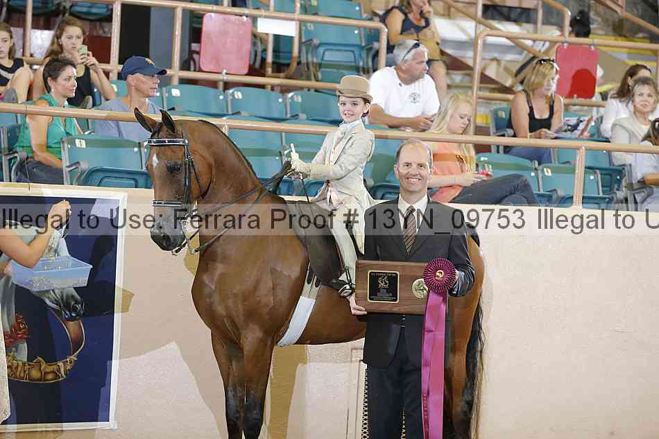 Proof 13yn_09753