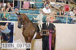 13yn_09753 proof