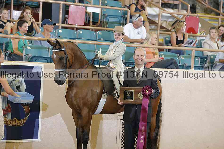 Proof 13yn_09754