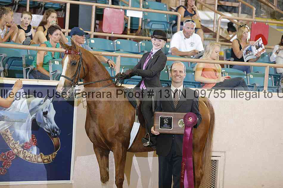 Proof 13yn_09755