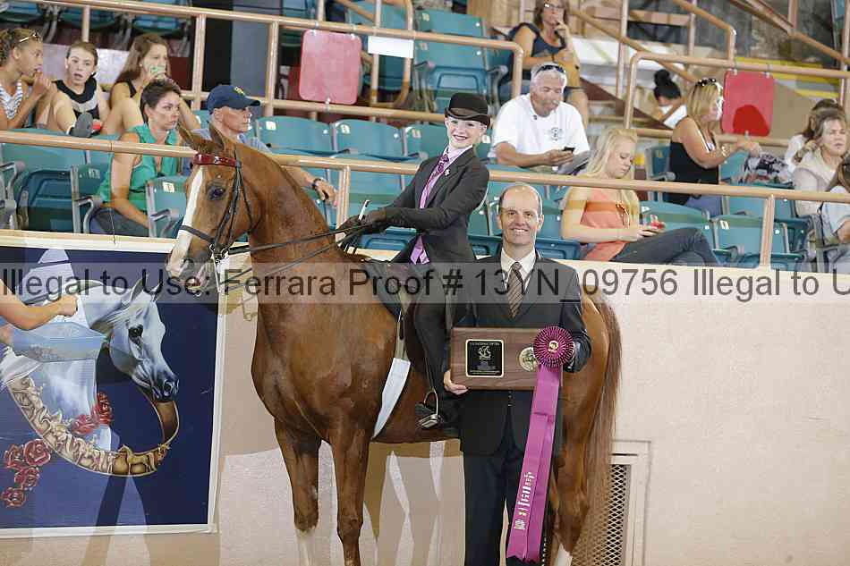 Proof 13yn_09756