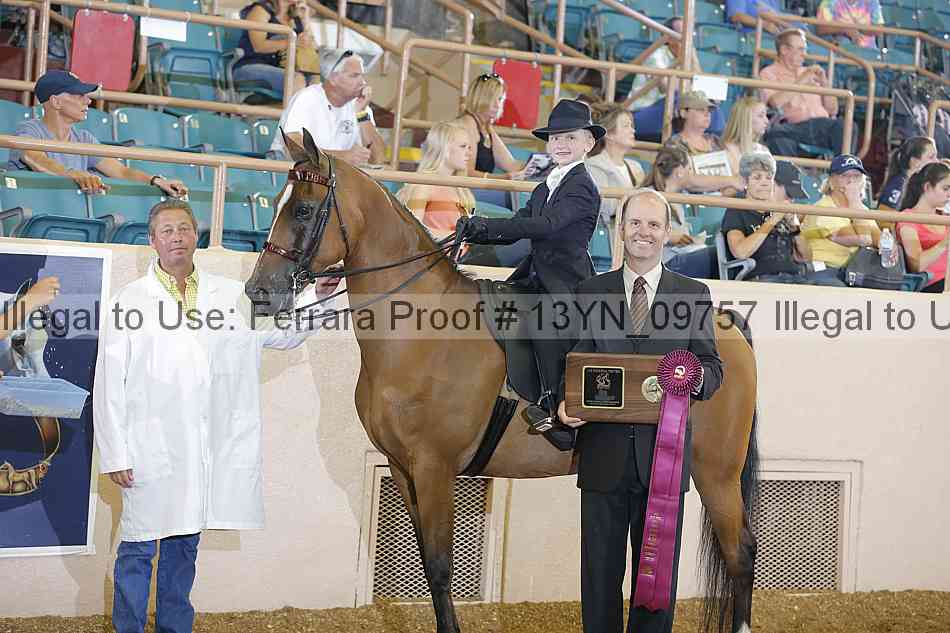 Proof 13yn_09757
