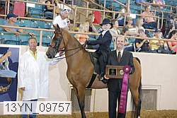 13yn_09757 proof