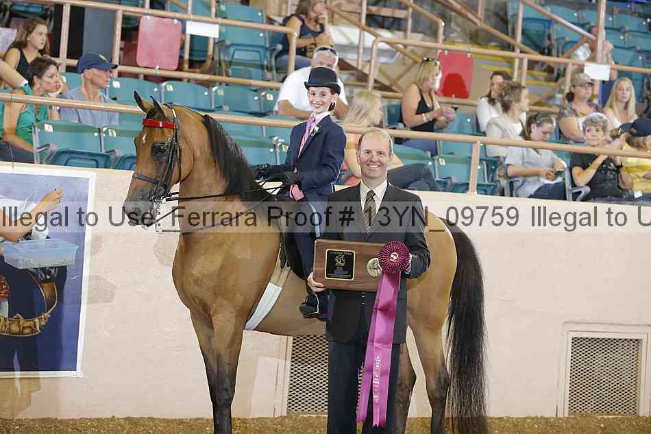 Proof 13yn_09759