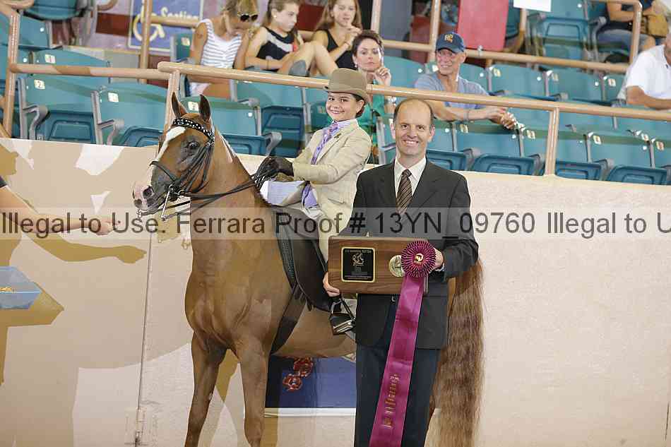 Proof 13yn_09760