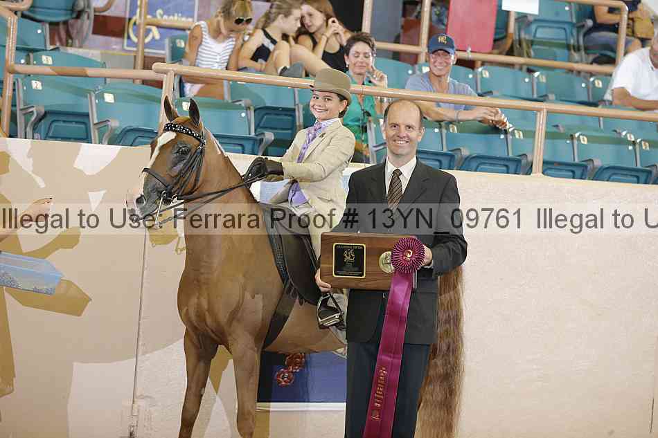 Proof 13yn_09761