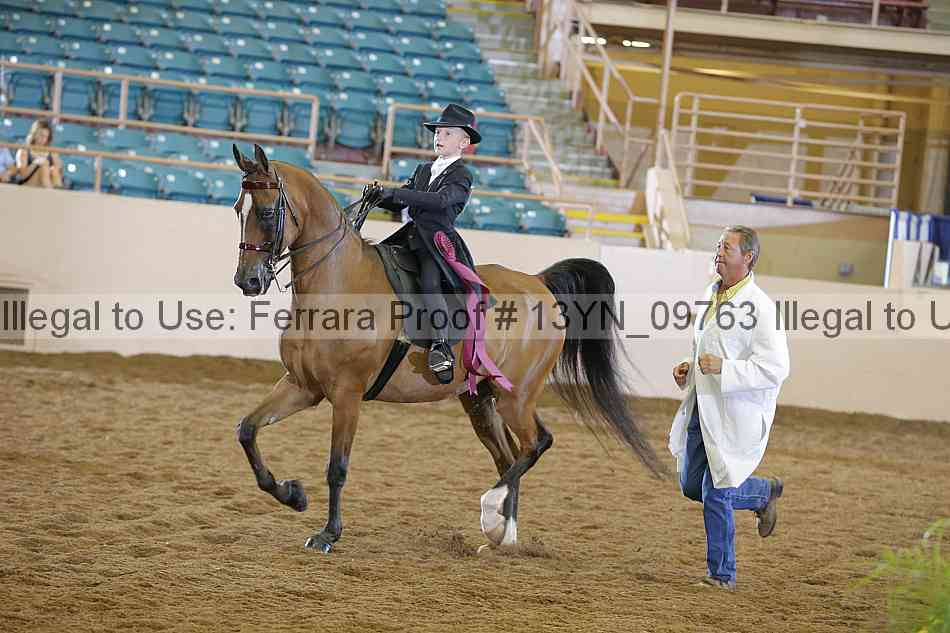 Proof 13yn_09763