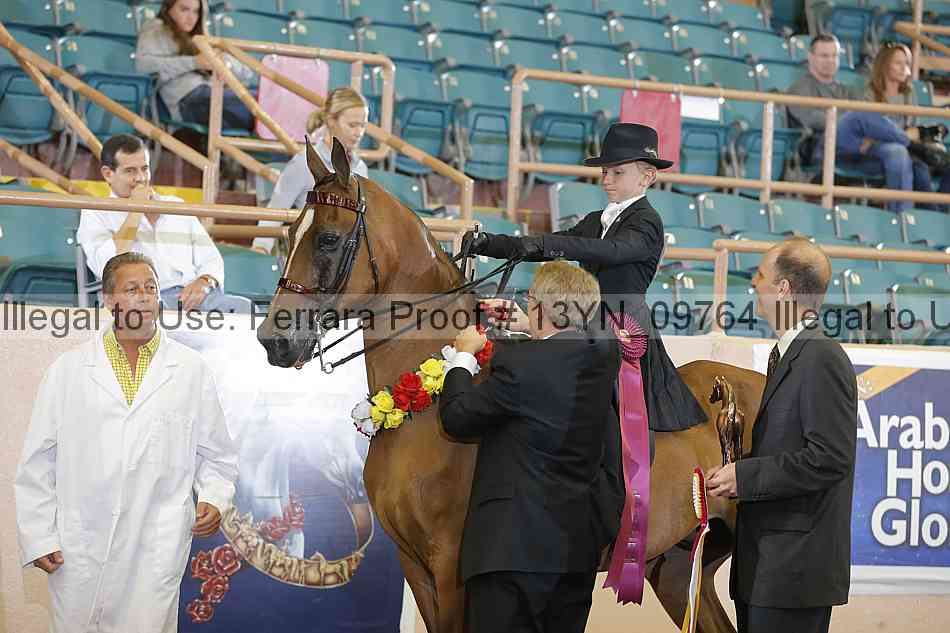 Proof 13yn_09764
