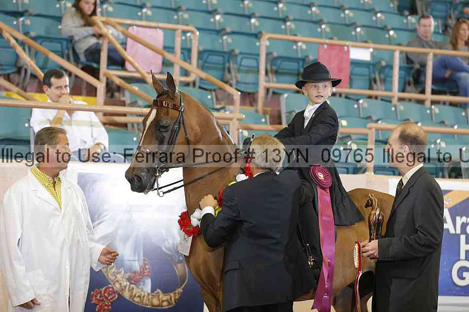 Proof 13yn_09765