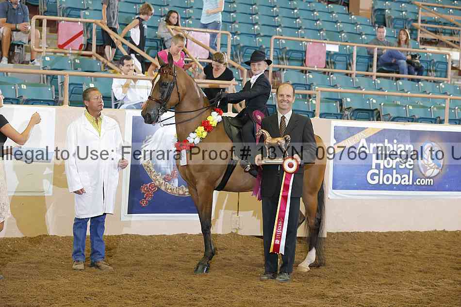 Proof 13yn_09766