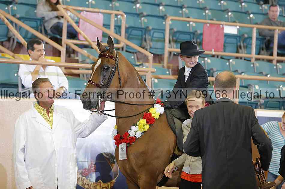 Proof 13yn_09768