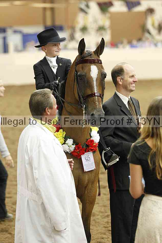 Proof 13yn_09769