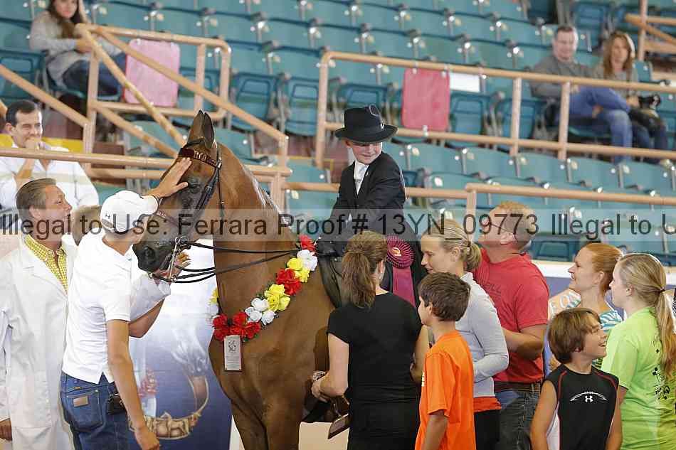 Proof 13yn_09773