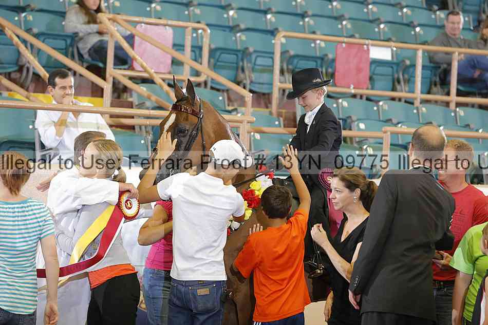 Proof 13yn_09775