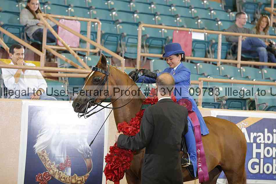 Proof 13yn_09783