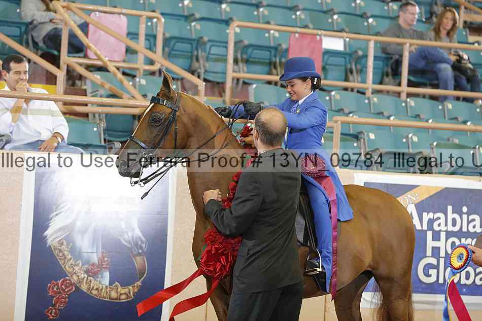 Proof 13yn_09784