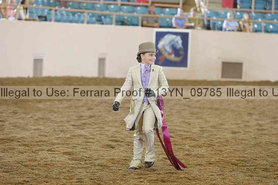 Proof 13yn_09785