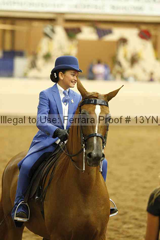 Proof 13yn_09787