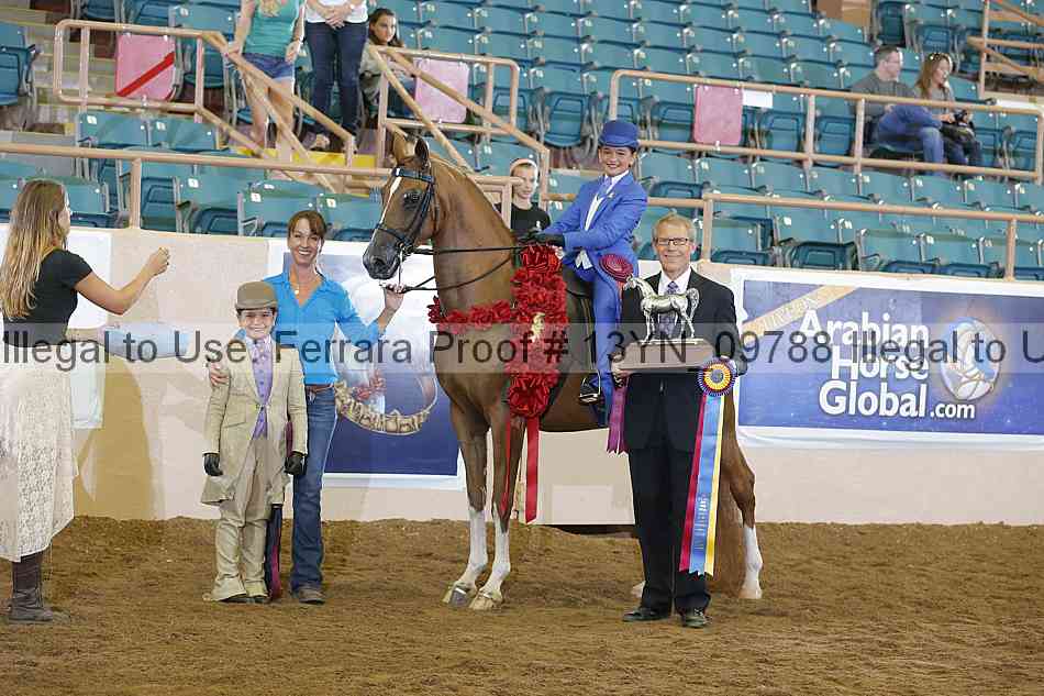 Proof 13yn_09788