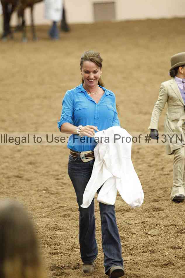 Proof 13yn_09791