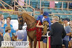 13yn_09796 proof