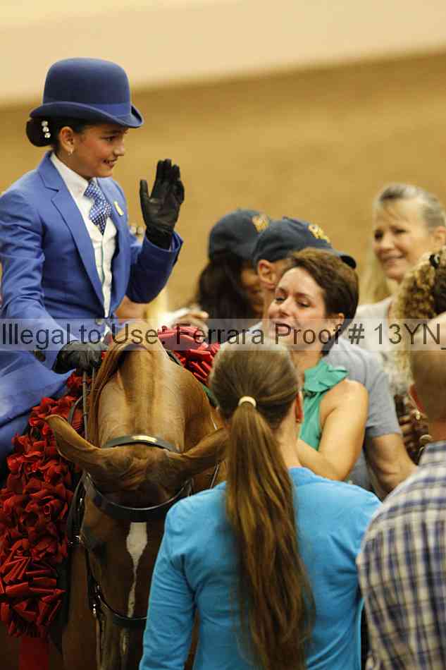Proof 13yn_09806