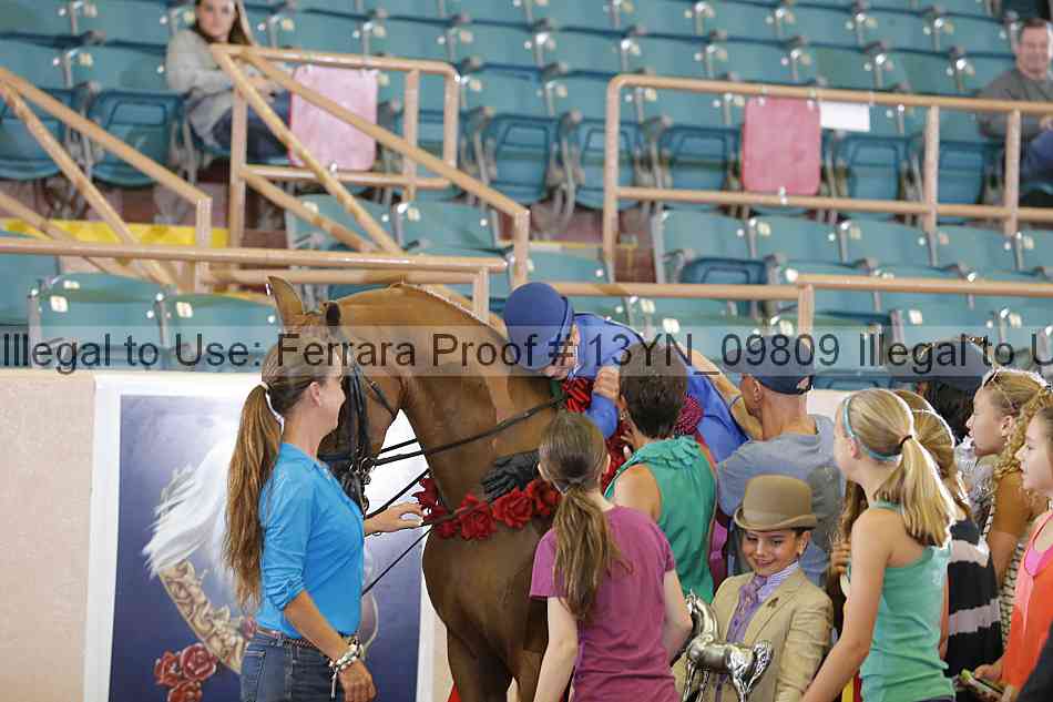 Proof 13yn_09809
