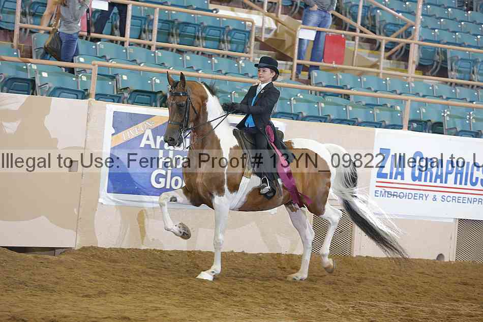 Proof 13yn_09822