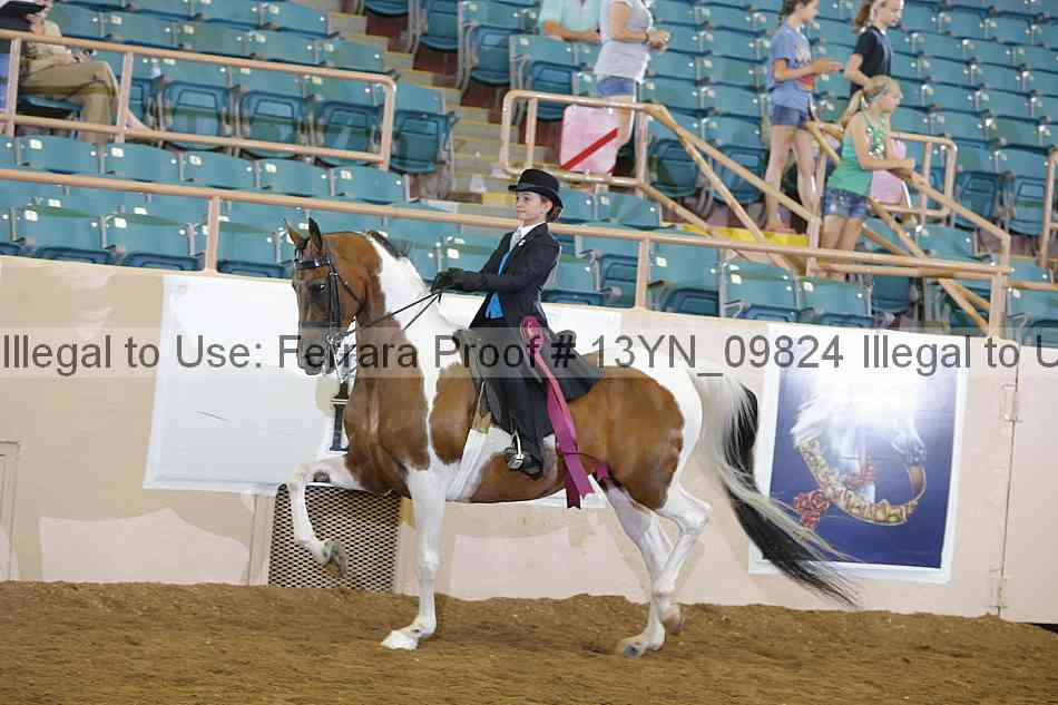 Proof 13yn_09824