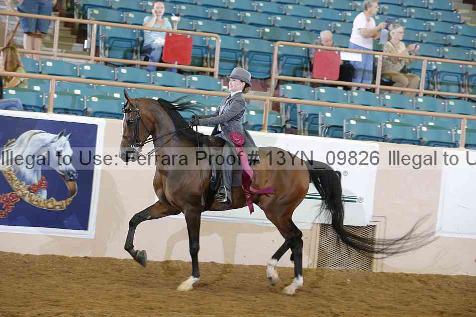 Proof 13yn_09826