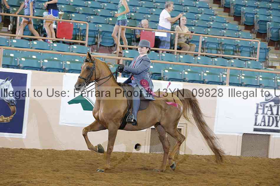 Proof 13yn_09828