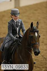 13yn_09833 proof