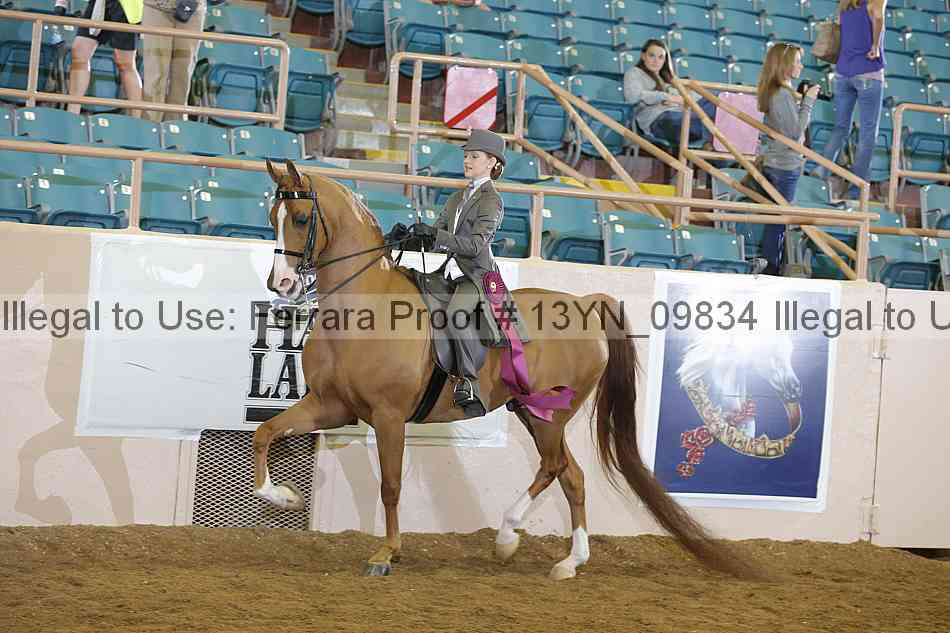 Proof 13yn_09834