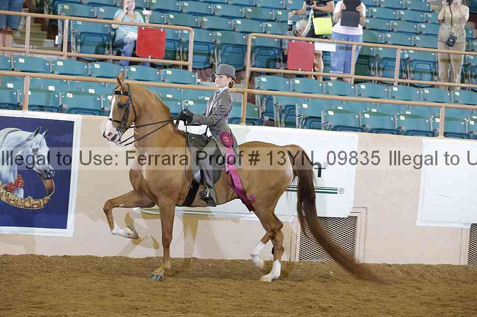 Proof 13yn_09835
