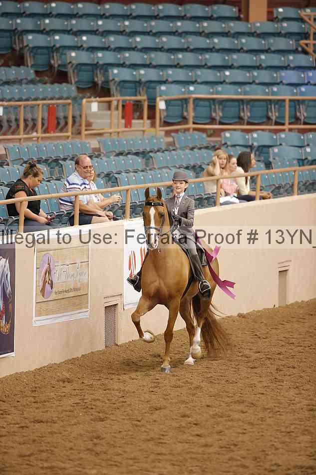 Proof 13yn_09836