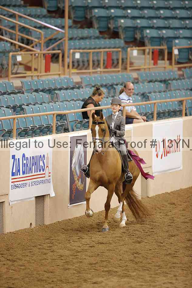 Proof 13yn_09837