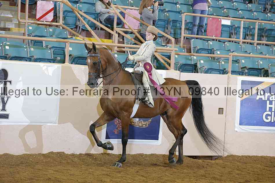 Proof 13yn_09840