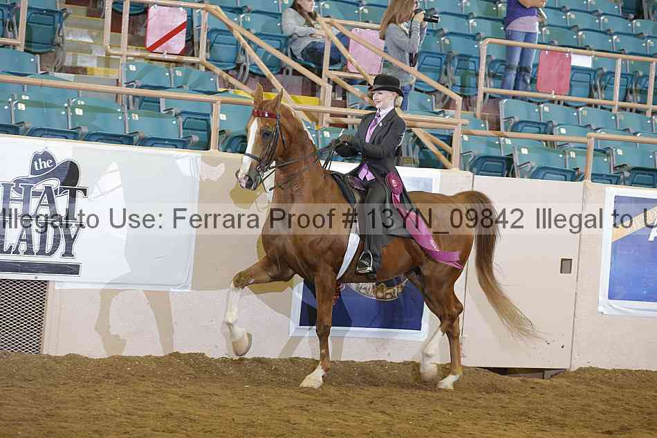 Proof 13yn_09842
