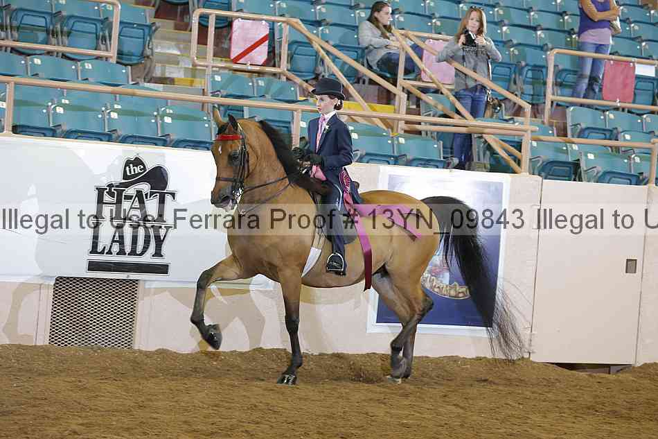 Proof 13yn_09843