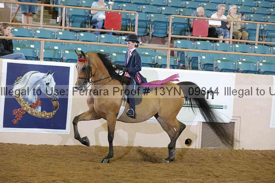 Proof 13yn_09844