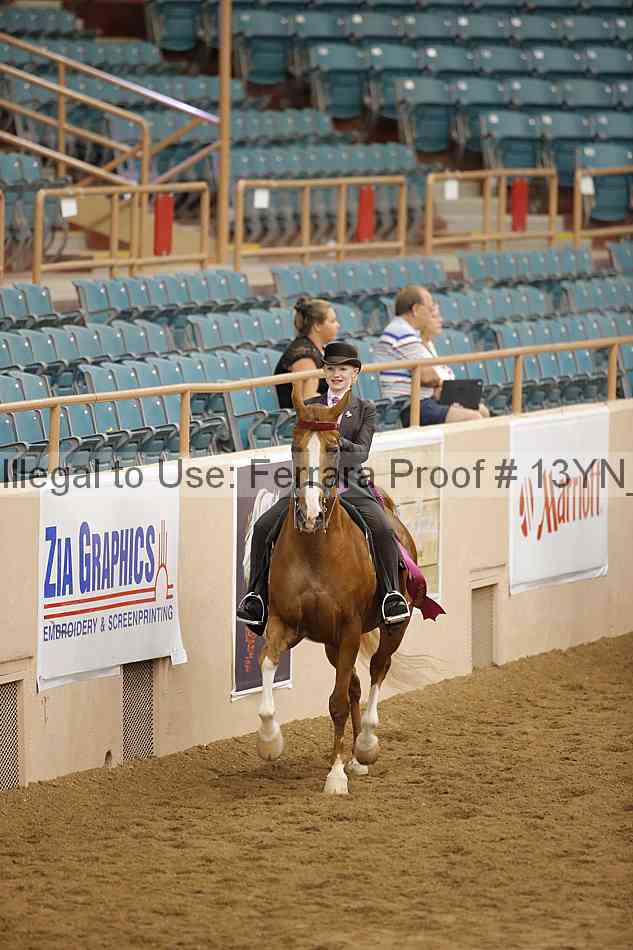 Proof 13yn_09845