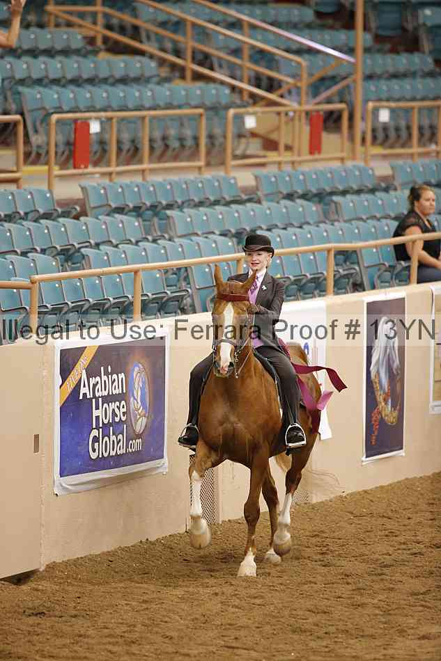 Proof 13yn_09846