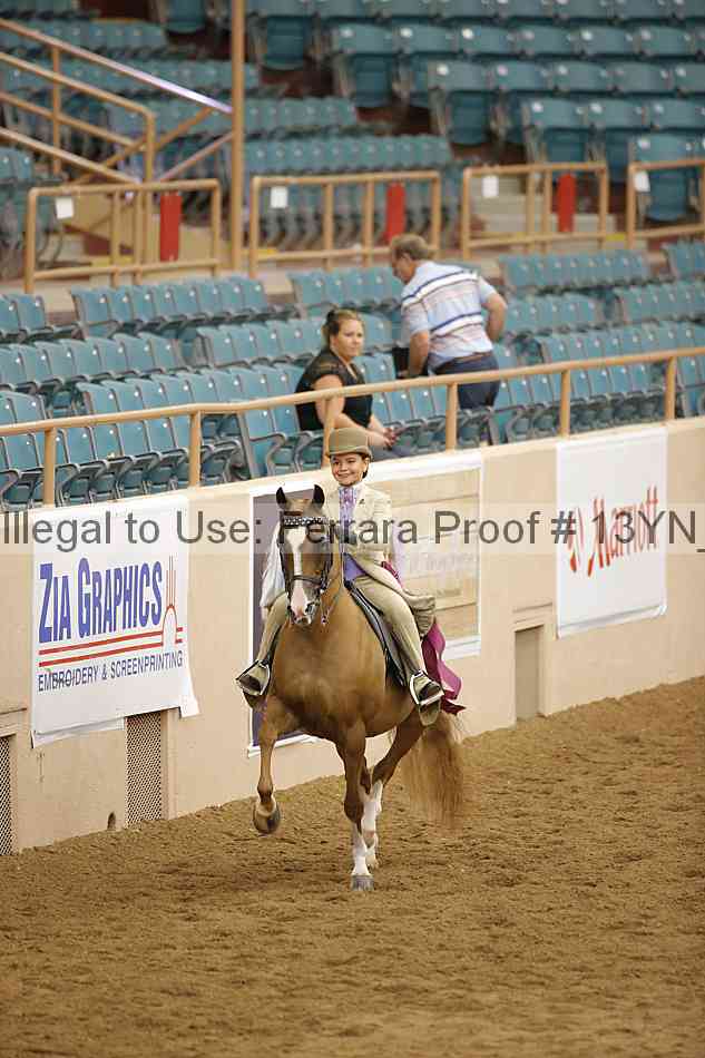 Proof 13yn_09850