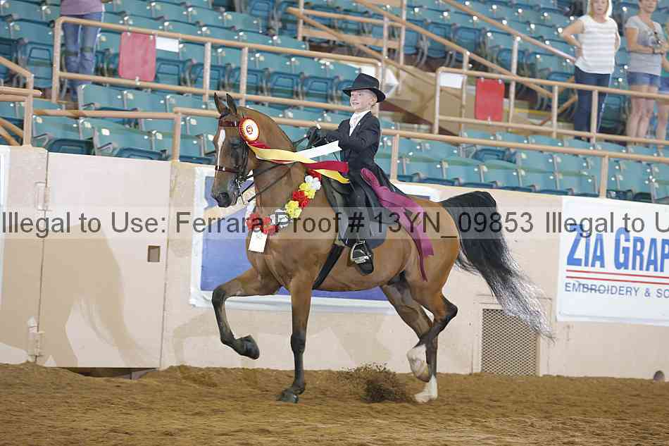 Proof 13yn_09853