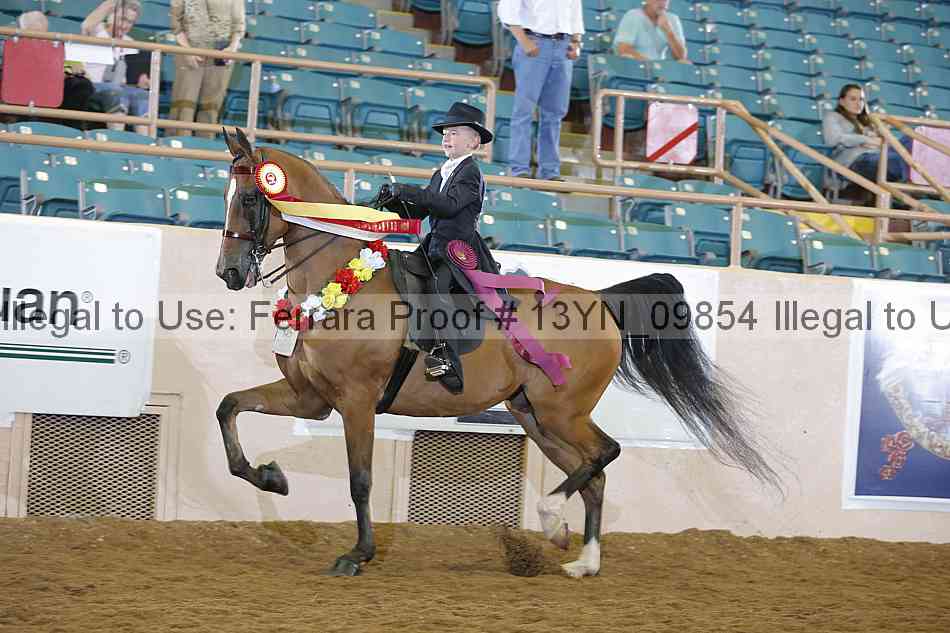 Proof 13yn_09854