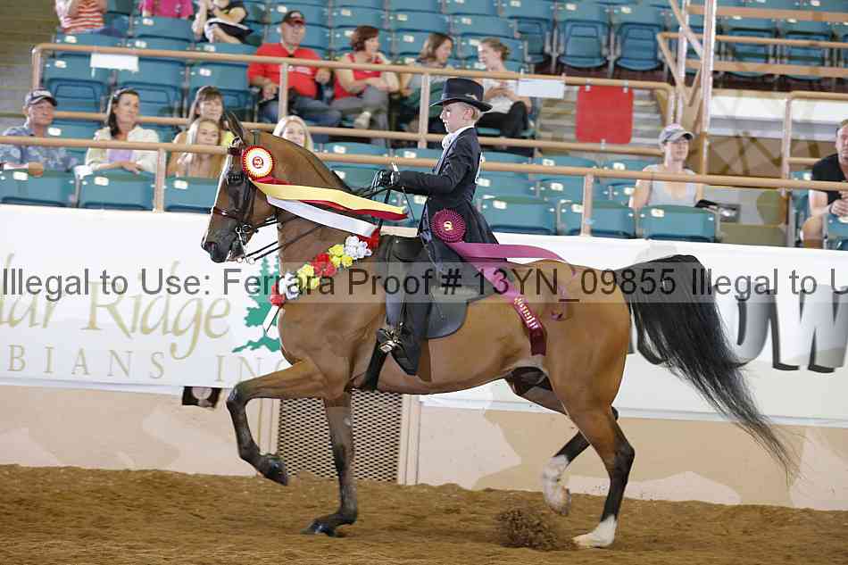 Proof 13yn_09855